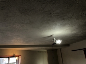 20191213_022413642_iOS.jpg