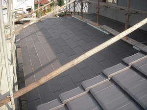 DSCN2717.jpg