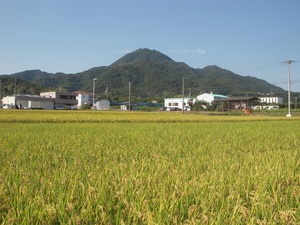 DSCN2811.jpg