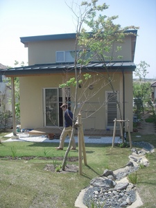 DSCN4406.jpg