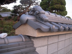 DSCN5553.jpg