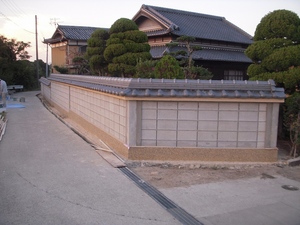 DSCN5554.jpg