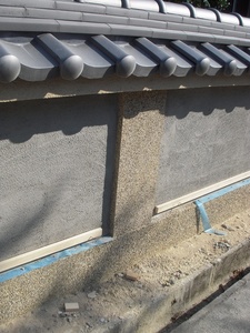 DSCN5611.jpg
