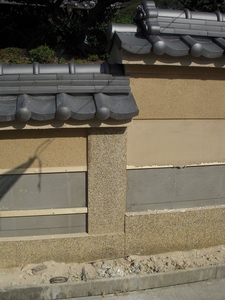 DSCN5613.jpg