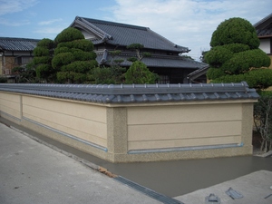 DSCN5632.jpg