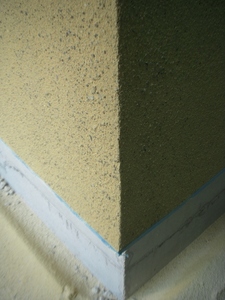 DSCN6338.jpg